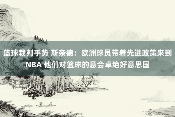 篮球裁判手势 斯奈德：欧洲球员带着先进政策来到NBA 他们对篮球的意会卓绝好意思国